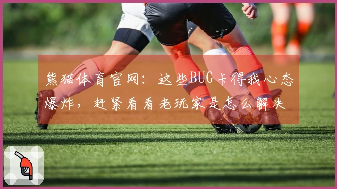 熊猫体育官网：这些BUG卡得我心态爆炸，赶紧看看老玩家是怎么解决的！
