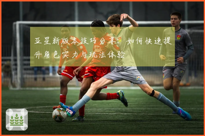 亚星新版本技巧分享：如何快速提升角色实力与玩法体验
