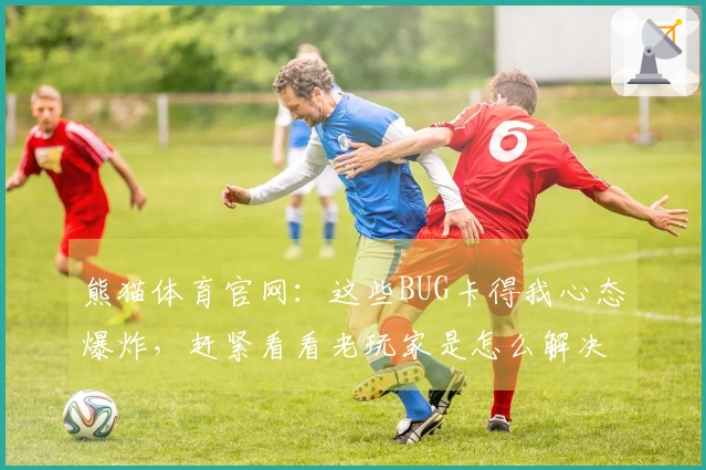 熊猫体育官网：这些BUG卡得我心态爆炸，赶紧看看老玩家是怎么解决的！