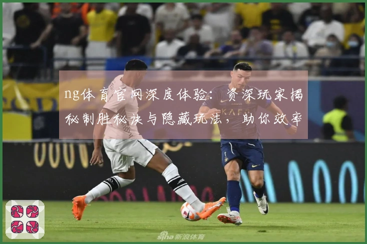 ng体育官网深度体验：资深玩家揭秘制胜秘诀与隐藏玩法，助你效率提升