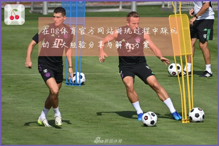 在ng体育官方网站游玩过程中踩坑的五大经验分享与解决方案